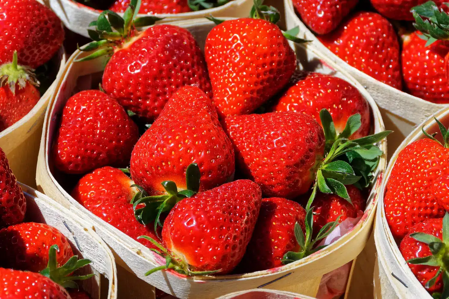 Der ultimative Aufbewahrungsort für Erdbeeren: So bleiben sie außergewöhnlich lange frisch, ohne zu schimmeln