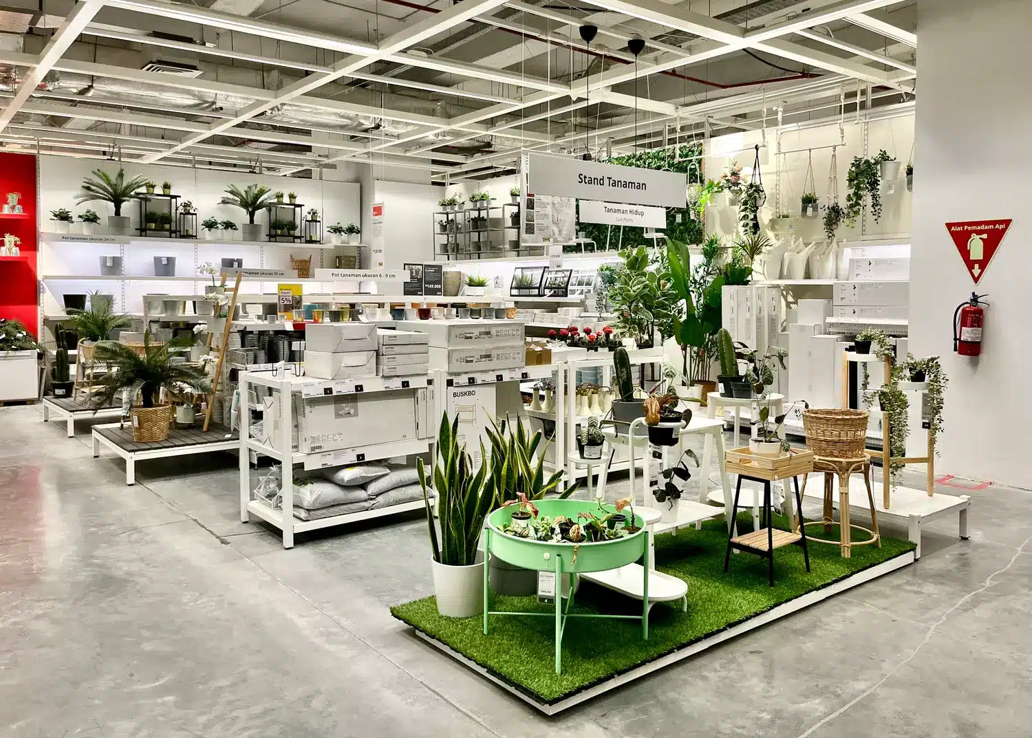 Unglaublich: Diese IKEA-Vase hatte früher fast jeder – jetzt wird sie für mehr als das Zehnfache ihres Originalpreises gehandelt!