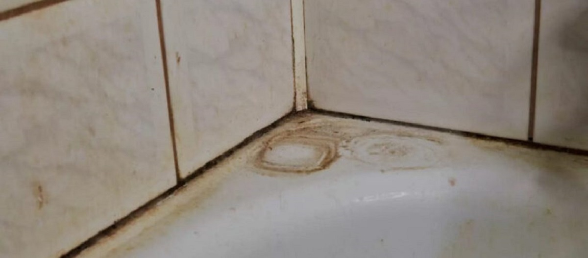 Die ultimative Methode: Badezimmerfugen blitzsauber in Minuten – ganz ohne Essig oder Bleichmittel