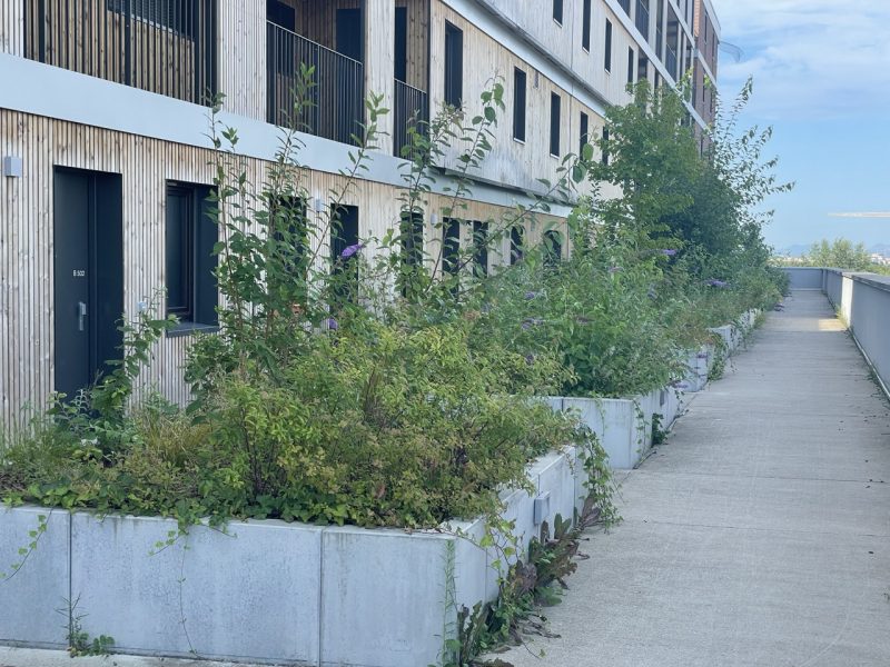 docks citadelle terrasse